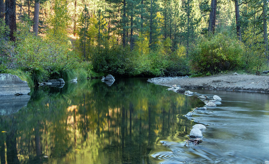 Susan River 2 Photograph by Randy Robbins | Fine Art America