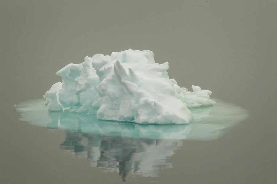 Svalbard, Norway iceberg 1 Photograph by Steven Upton