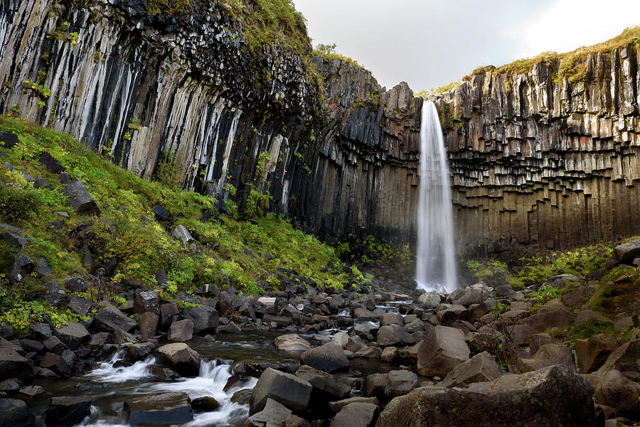 Svartifoss waterfall in Iceland Photograph by RicardMN Photography