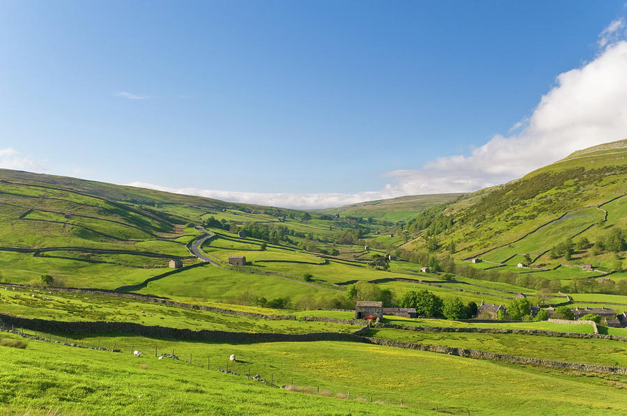 Swaledale by John Woodworth