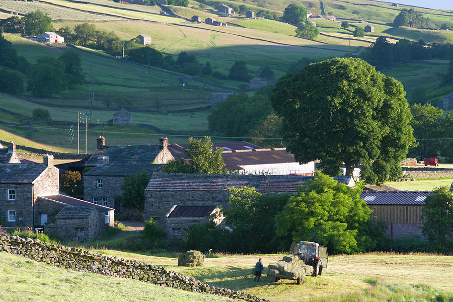 Swaledale, Yorkshire Dales, England Photograph by Peter Adams
