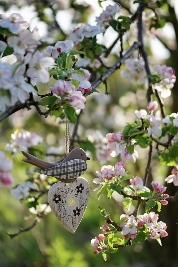 Swallow And Wooden Heart In A Blossoming Apple Tree Photograph by Angelica Linnhoff
