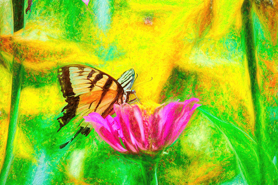 Swallow Tail Butterfly painted Photograph by Don Northup