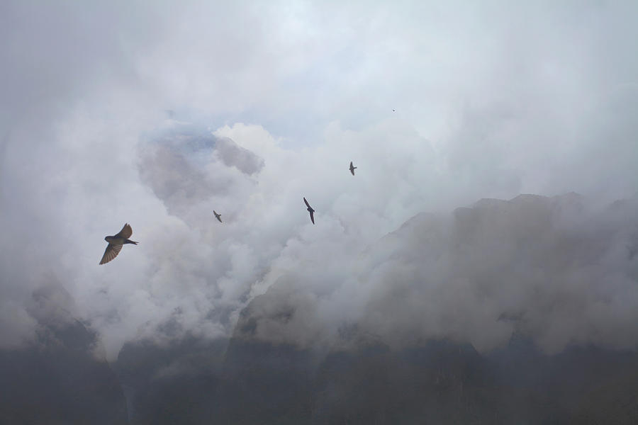 Nature Digital Art - Swallows Flying Above Mountain Tops, Machu Picchu, Peru by J J D