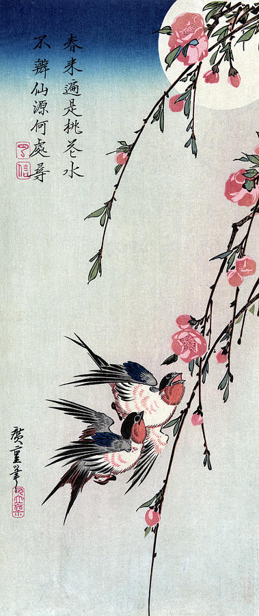 Swallows With Peach Blossoms And Full Photograph by Science Source
