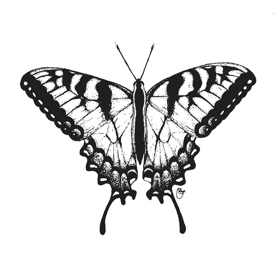 Swallowtail Drawing by Bari Rhys