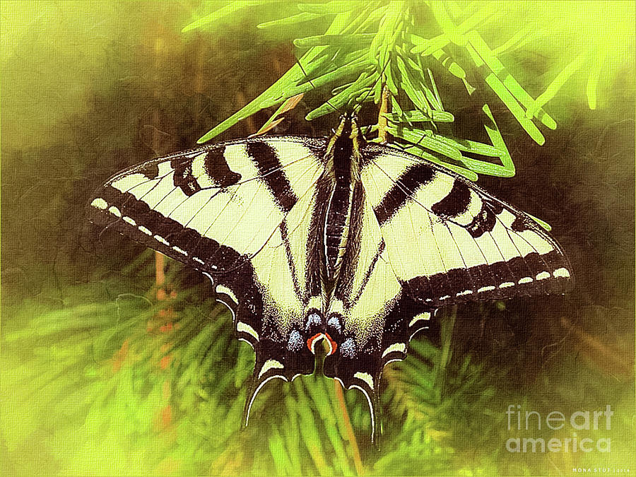 Tiger Swallow Tail Papilio Natural Habitat Digital Art