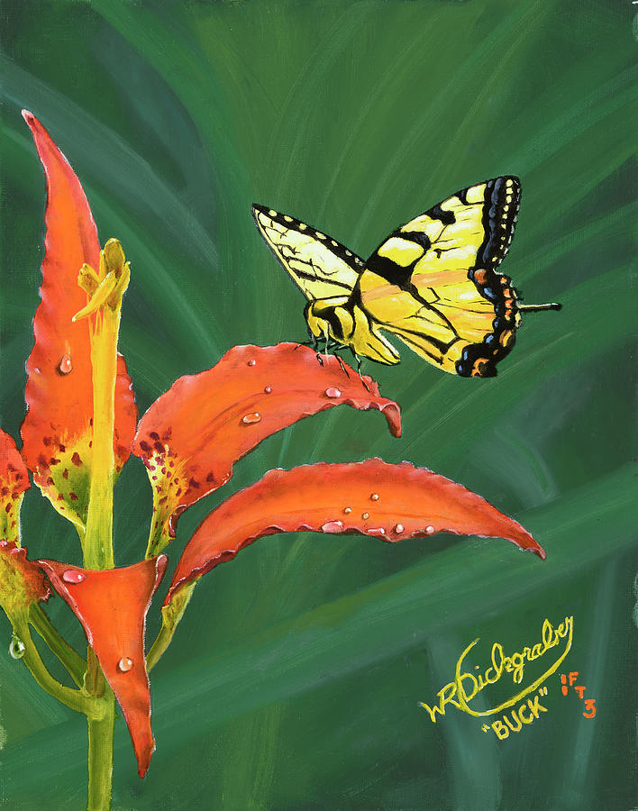 Swallowtail on a Florida Pine Lily Painting by William Dickgraber