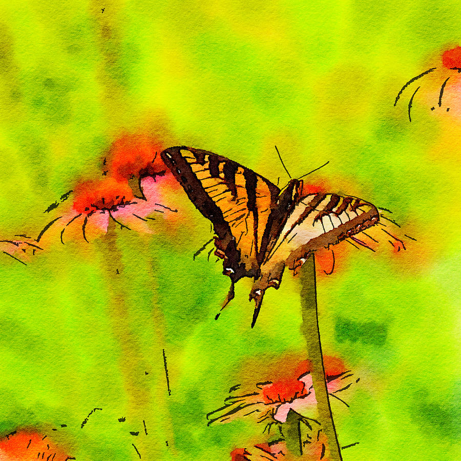Swallowtail Watercolor Painting by Bonnie Bruno