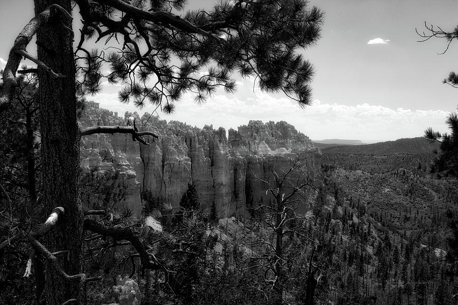 Swamp Canyon Bryce Canyon Utah 01 BW Photograph by Thomas Woolworth