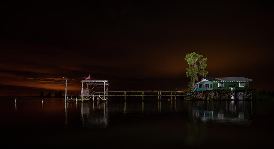 Swamp life by Andy Crawford Swamp life by Andy Crawford