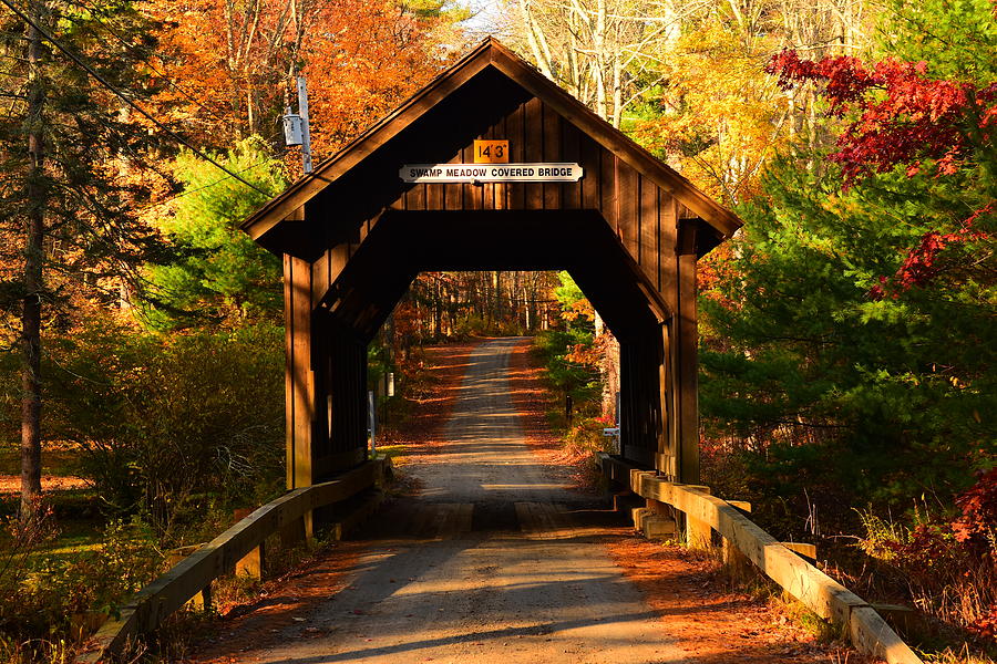 Swamp Meadow Bridge Photograph by Catherine Reusch Daley - Fine Art America