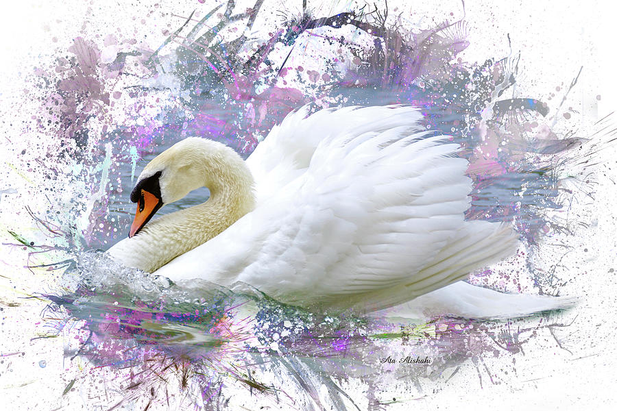 Swan Mixed Media - Swan 2a by Ata Alishahi