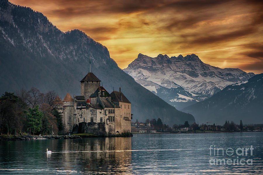 Swan And Chateau De Chillon Photograph by Stanley Chen Xi, Landscape And Architecture Photographer