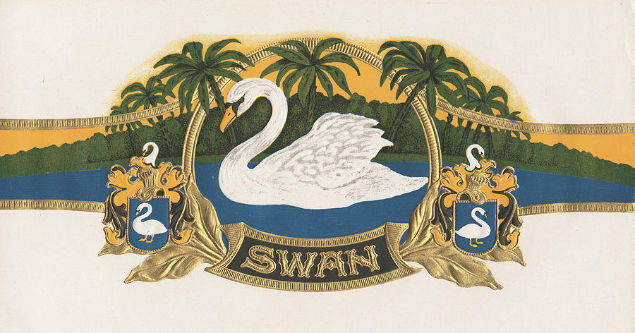 Swan Painting by Art Of The Cigar