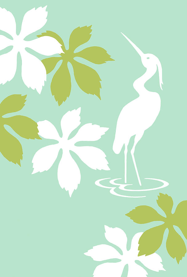 Crane Drawing - Swan in Water with Flowers by CSA Images