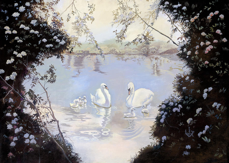 Animal Digital Art - Swan Lake by Judy Mastrangelo