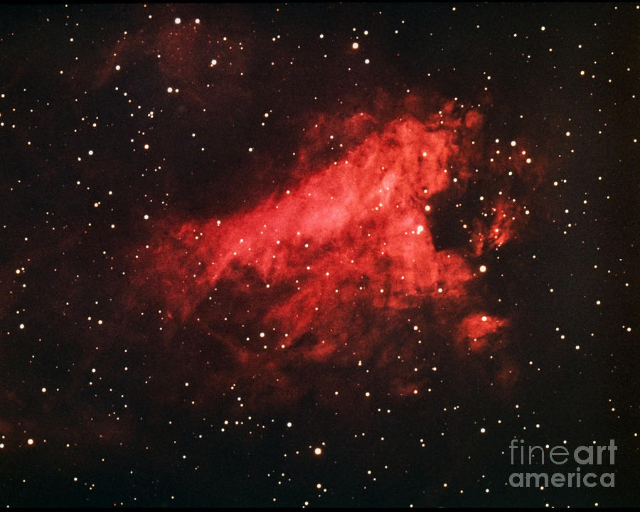 Swan Nebula (m17) Photograph by Noao/aura/nsf/science Photo Library