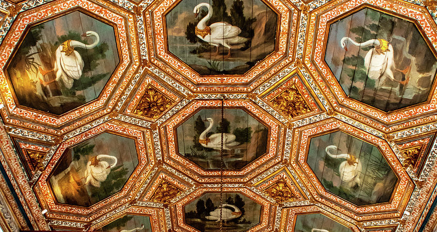 Swan Room Ceiling Photograph by Marcy Wielfaert