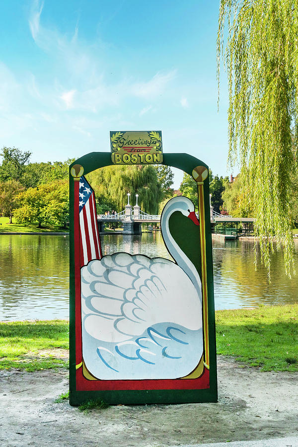 Swan Sign, Boston Public Garden, Ma Digital Art by Laura Zeid