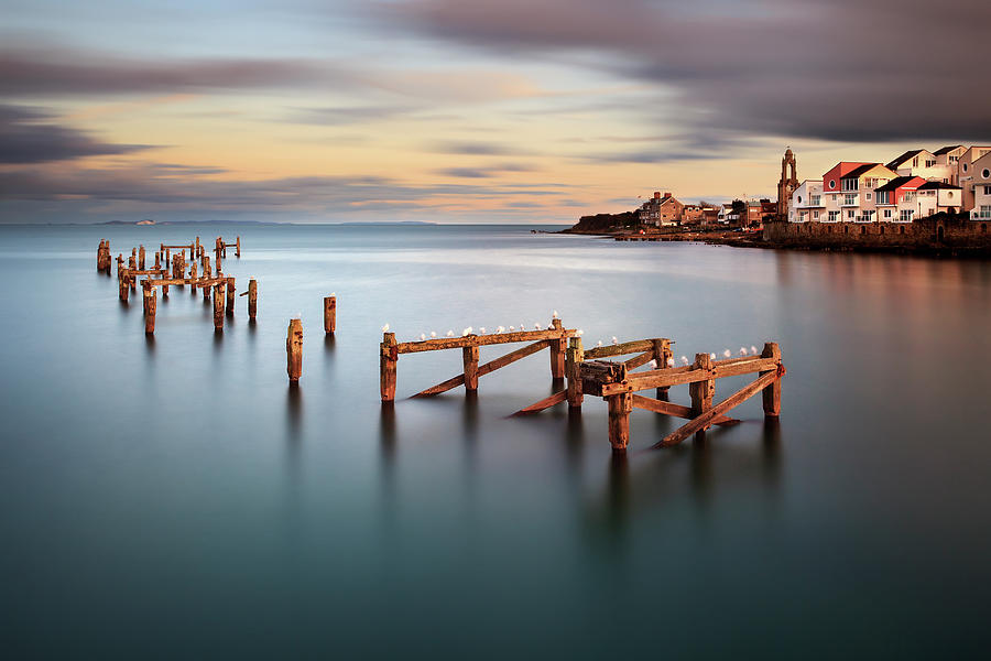 Bird Photograph - Swanage Old Pier by Rob Cherry