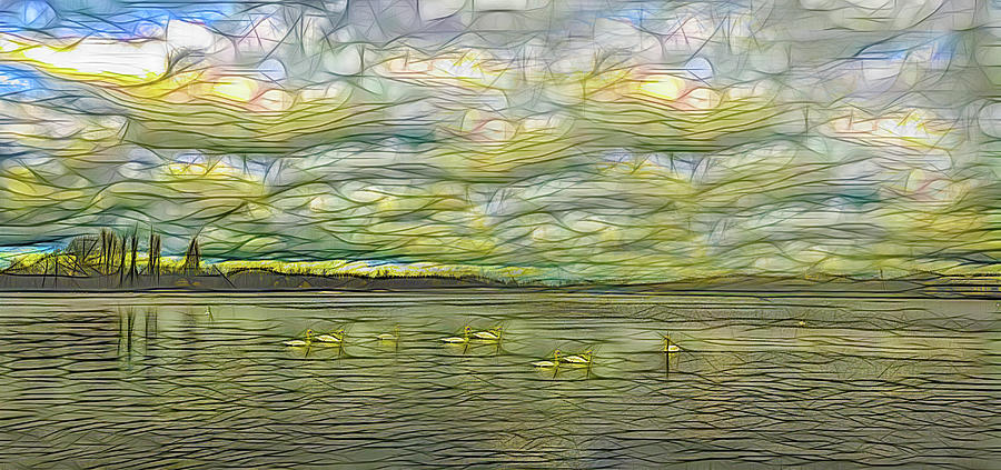 Swans on a Pond Abstract Photograph by Floyd Snyder