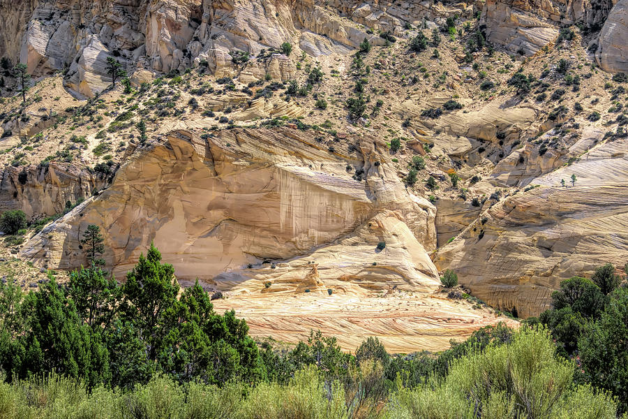 Swapp Canyon East View - Utah Photograph by Debra Martz