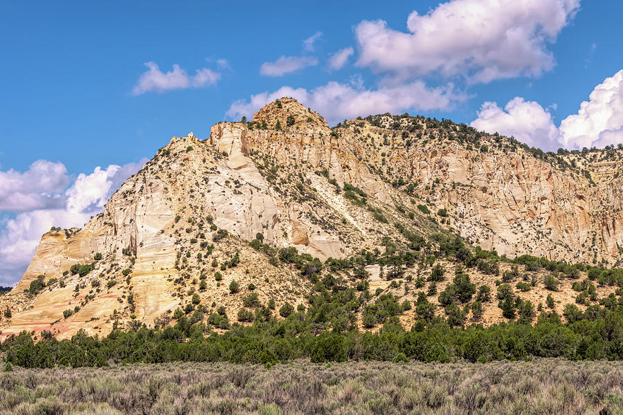 Swapp Canyon West View - Utah Photograph by Debra Martz