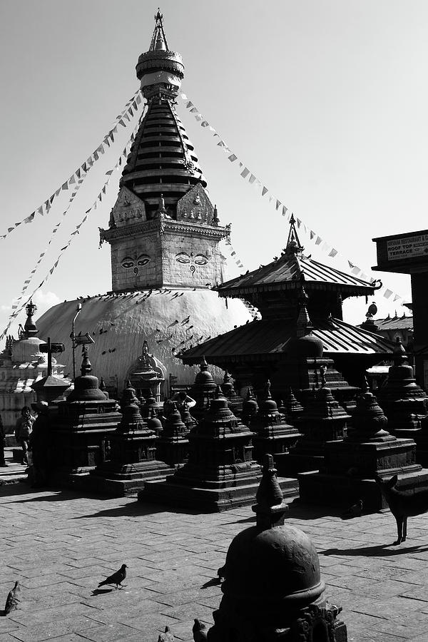 Swayambhunath Temple, Kathmandu, Nepal Photograph by Aidan Moran