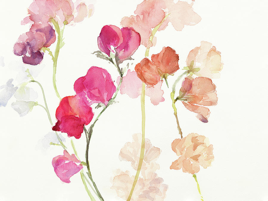 Flower Painting - Swaying Sweet Peas by Lanie Loreth