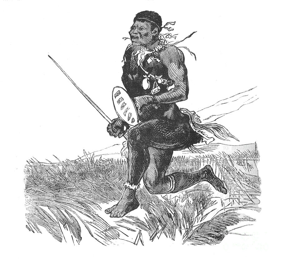 Swazi Scout Drawing by Print Collector