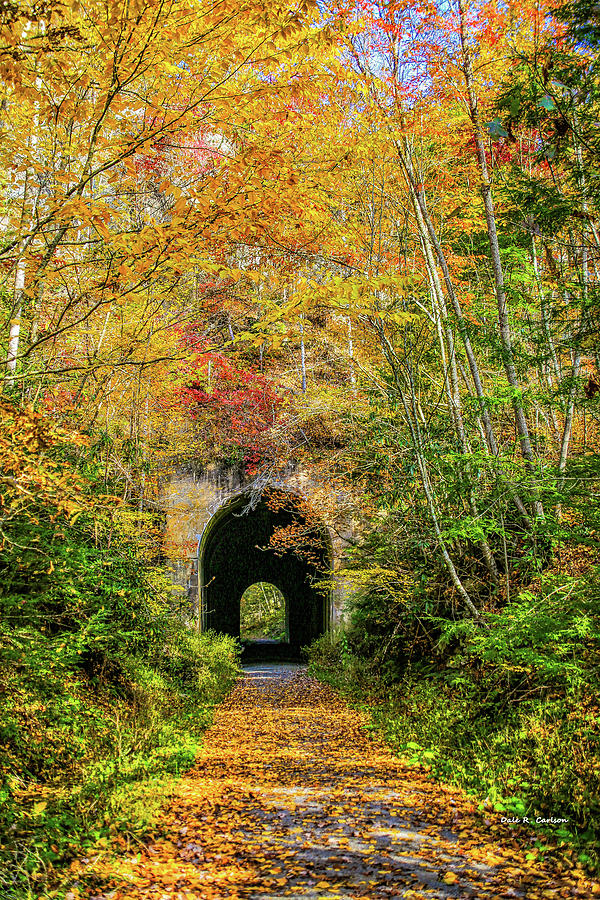Swede Tunnel Photograph by Dale R Carlson
