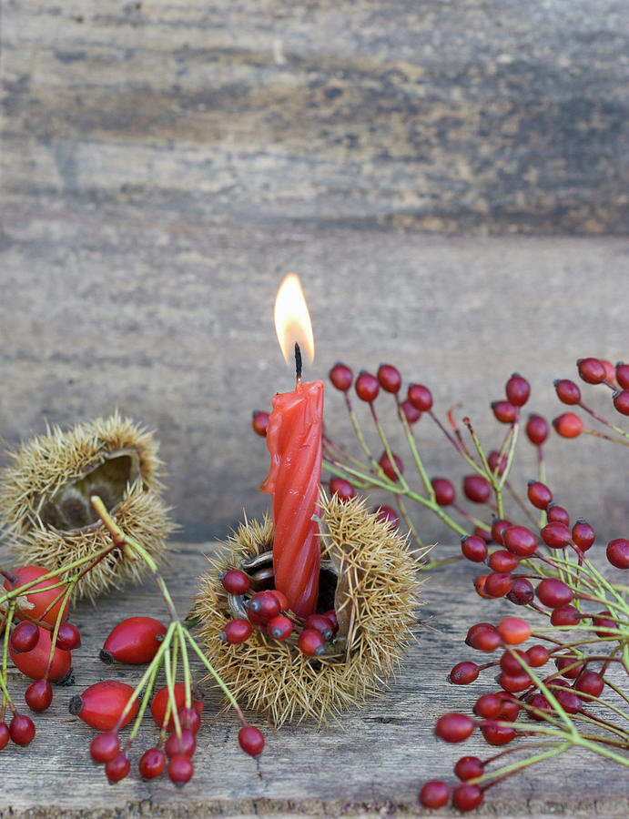 Sweet Chestnut Case Used As Candle Holder Decorated With Rosehips Photograph by Martina Schindler
