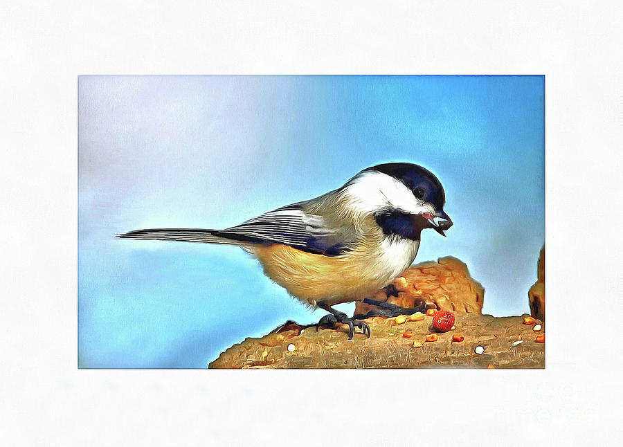 Sweet Chickadee Painting by Elaine Manley