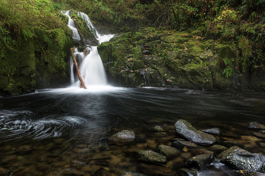 Sweet Creek Falls, Oregon Photograph by Alex Mironyuk