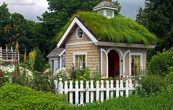 Sweet Grass Cottage Photograph by Catherine Melvin