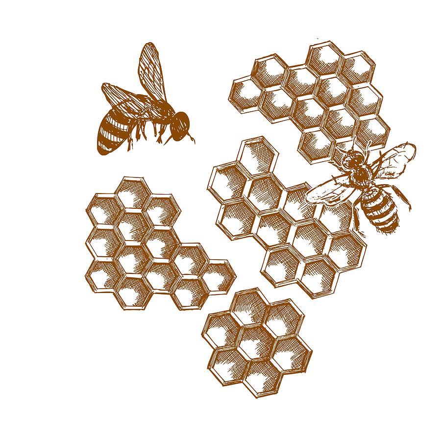 Sweet Honey Bee Digital Art by Heather Applegate