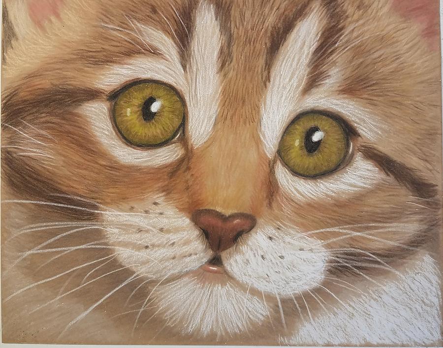 Sweet Kitty Drawing by Lorraine Foster