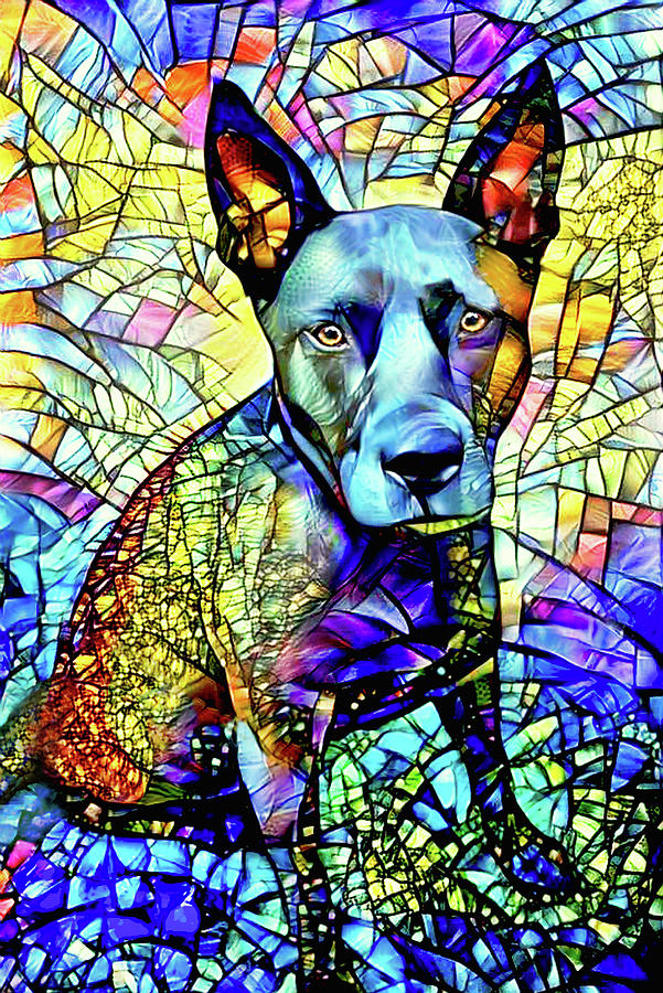 Sweet Lucy the Belgian Malinois Digital Art by Peggy Collins
