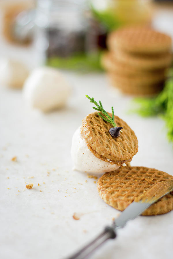 Sweet Merengue Nuts With Oatmeal Cookies And Nut Butter Photograph by Lana Konat