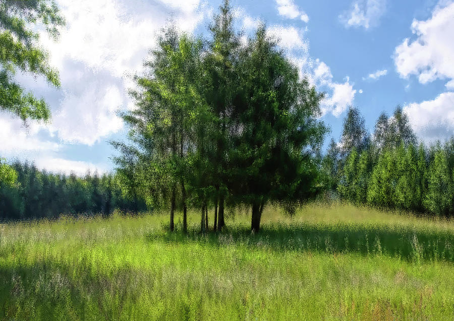 Sweet Mini Forest Digital Art by Sherrie Triest - Fine Art America