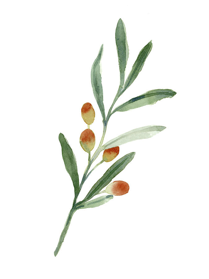 sweet olive painting