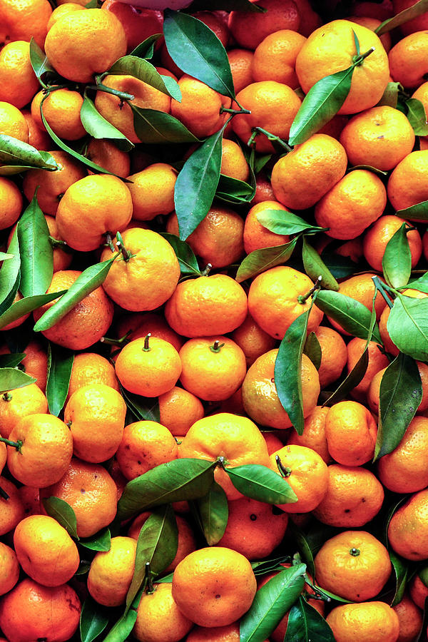 Sweet Oranges Photograph by Gabriel Perez