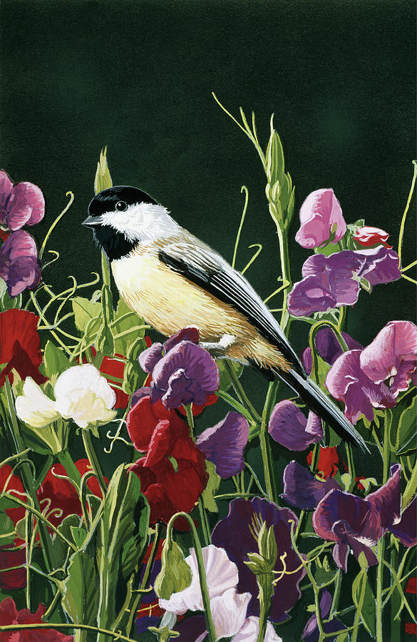 Bird Painting - Sweet Peas And Chickadee by William Vanderdasson