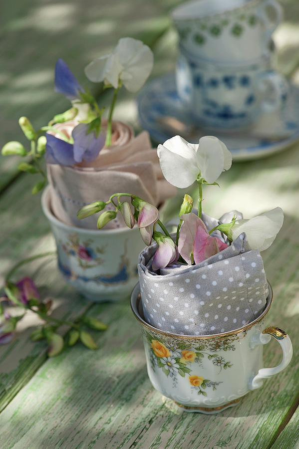 Sweet Peas In Napkins In Small Cups Photograph by Elisabeth Berkau