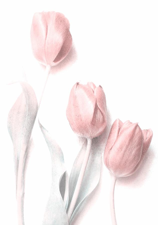 Still Life Photograph - Sweet Pink by Delphine Devos