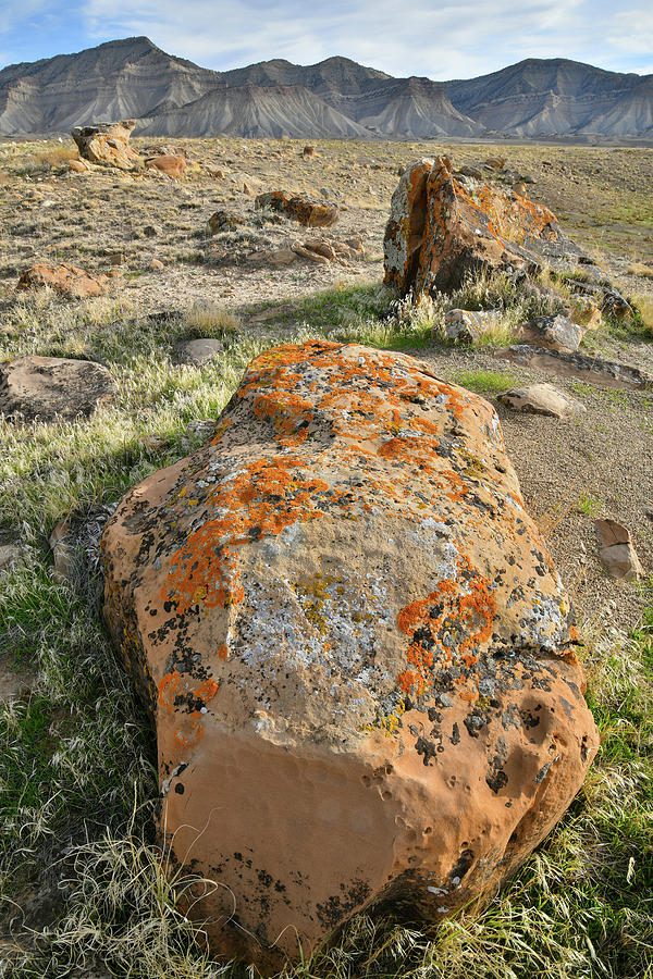 Sweet Potato Boulder in Book Cliff Desert Photograph by Ray Mathis