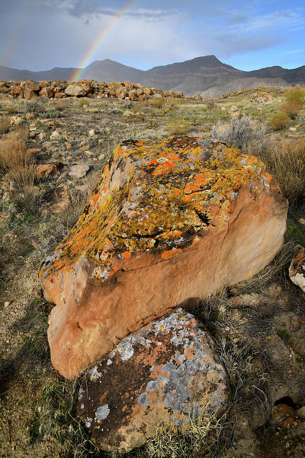 Sweet Potato Boulder in Book Cliffs Photograph by Ray Mathis