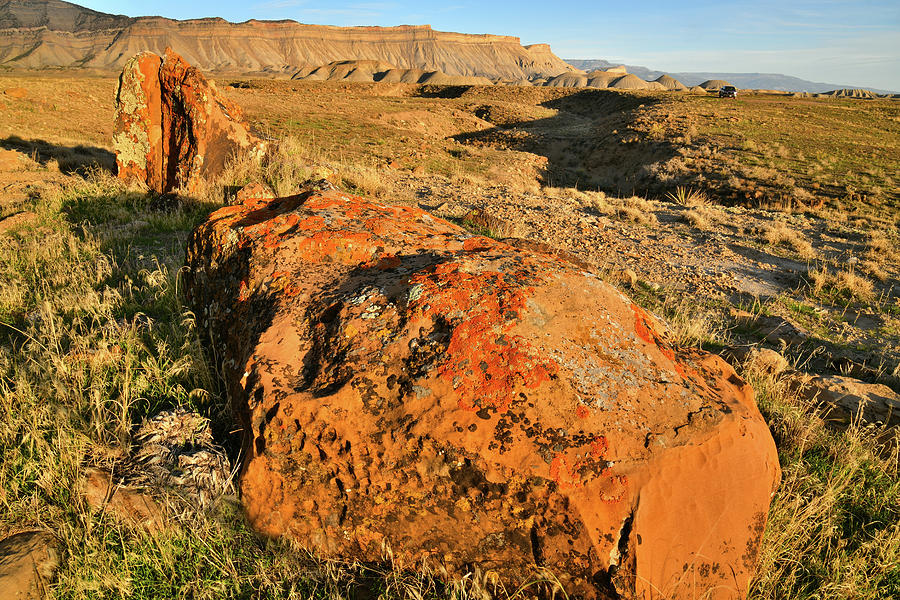 Sweet Potato-like Boulders at the Book Cliffs Photograph by Ray Mathis