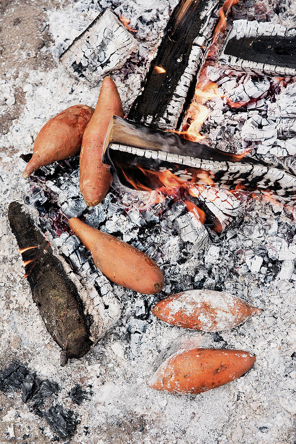 Sweet Potatoes Cooking In The Embers Of A Barbecue Fire Photograph by